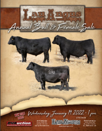 Lau Angus 2022 Bull and Female Sale